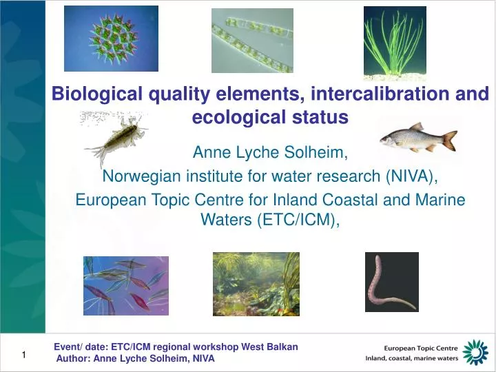 biological quality elements intercalibration and ecological status