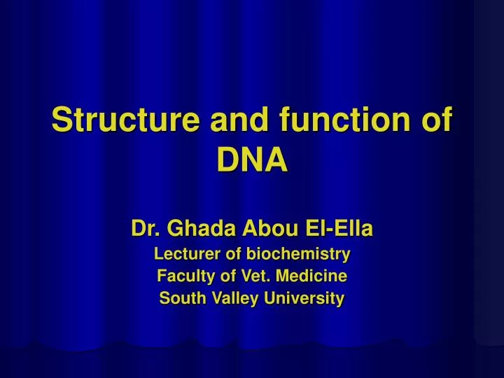 structure and function of dna