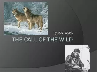 The Call of the wild