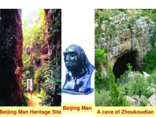 A cave of Zhoukoudian