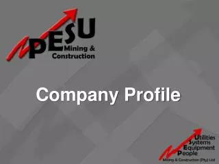 company profile
