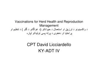 cpt david licciardello ky adt iv