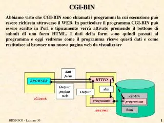 cgi bin