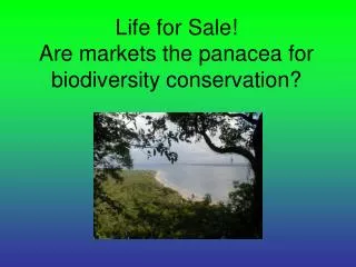 Life for Sale! Are markets the panacea for biodiversity conservation?