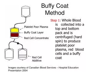 Buffy Coat Method