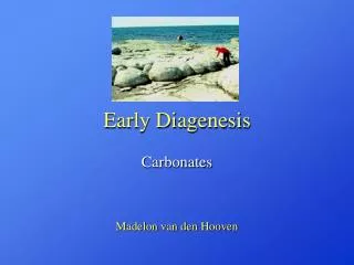 Early Diagenesis