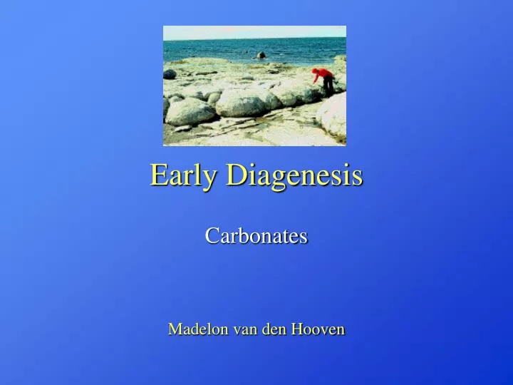early diagenesis