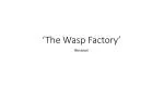‘The Wasp Factory’ - slide 1