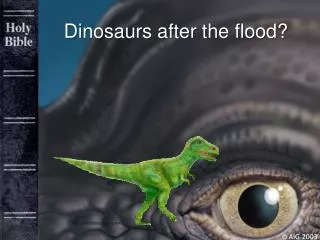 Dinosaurs after the flood?