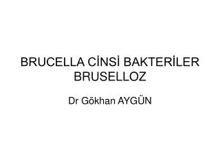 brucella c ns bakter ler bruselloz