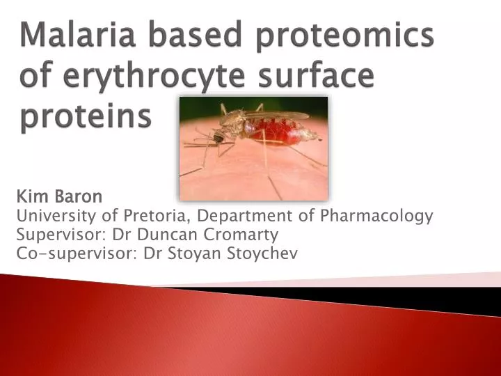malaria based proteomics of erythrocyte surface proteins