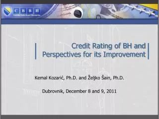 Credit Rating of BH and Perspectives for its Improvement