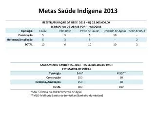 metas sa de ind gena 2013