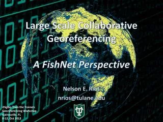 Large Scale Collaborative Georeferencing A FishNet Perspective