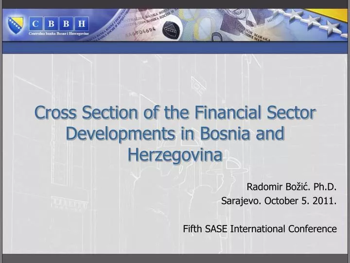 cross s ection of the f inancial s ector developments in bosnia and herzegovina