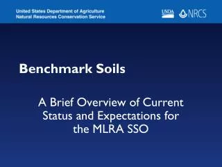 Benchmark Soils