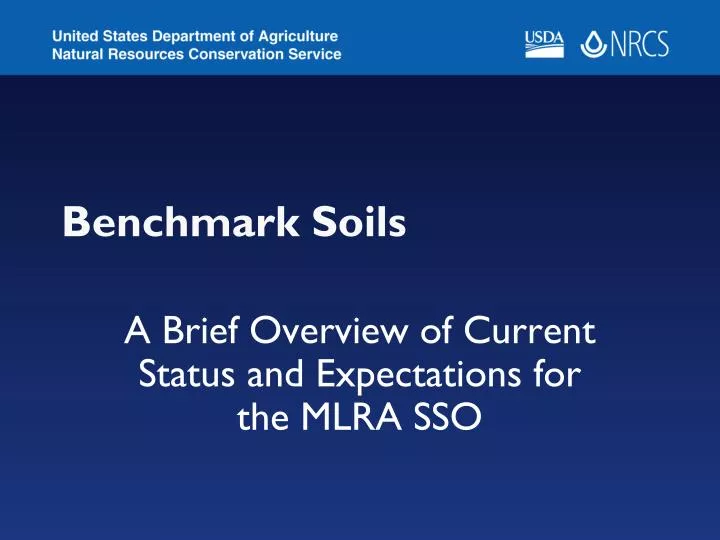 benchmark soils