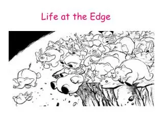 Life at the Edge