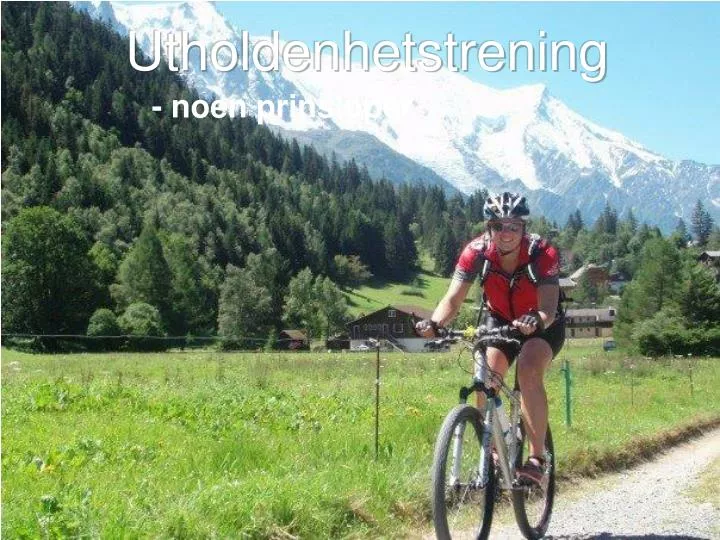 utholdenhetstrening