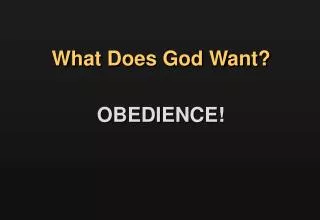 What Does God Want?