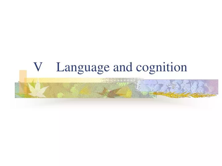 v language and cognition