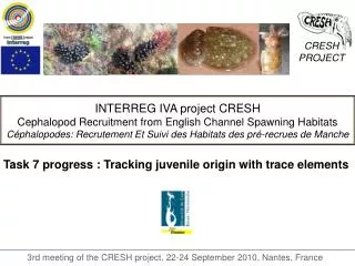 INTERREG IVA project CRESH Cephalopod Recruitment from English Channel Spawning Habitats