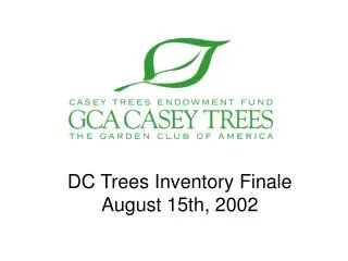 DC Trees Inventory Finale August 15th, 2002