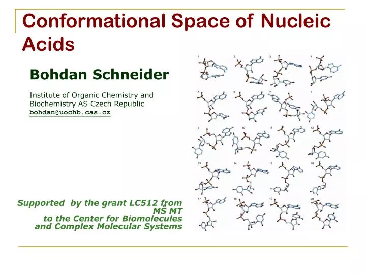 conformational space of nucleic acids