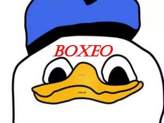 boxeo