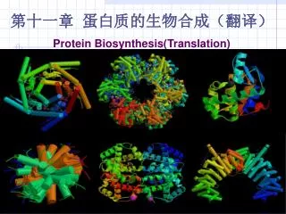 ???? ???????????? Protein Biosynthesis( Translation)