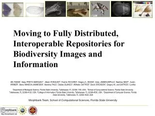 Moving to Fully Distributed, Interoperable Repositories for Biodiversity Images and Information