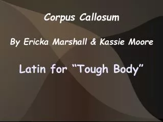 Corpus Callosum By Ericka Marshall &amp; Kassie Moore