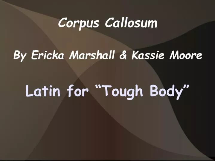 latin for tough body