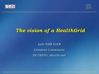 The vision of a HealthGrid