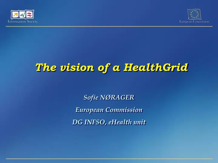 the vision of a healthgrid