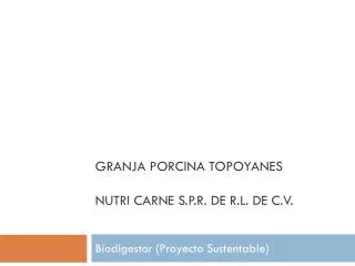 granja porcina topoyanes nutri carne s p r de r l de c v