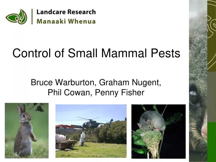 control of small mammal pests