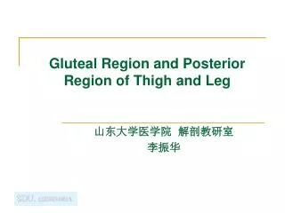 Gluteal Region and Posterior Region of Thigh and Leg