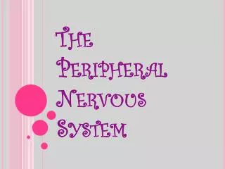 The Peripheral Nervous System