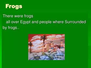 frogs