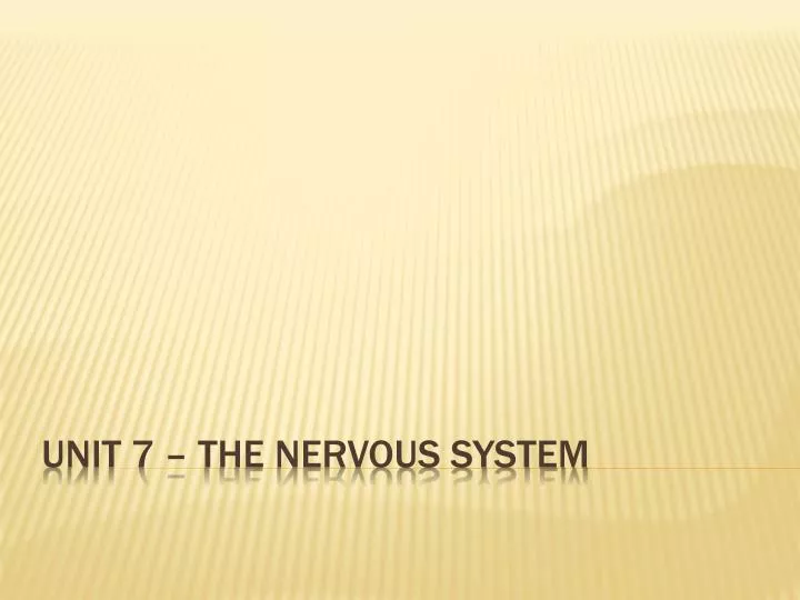 unit 7 the nervous system