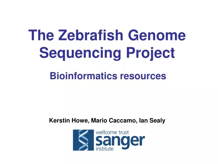 the zebrafish genome sequencing project bioinformatics resources