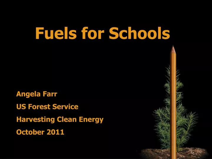 fuels for schools