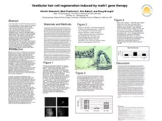 Vestibular hair cell regeneration induced by math1 gene therapy