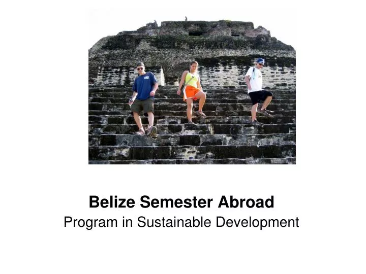 belize semester abroad program in sustainable development