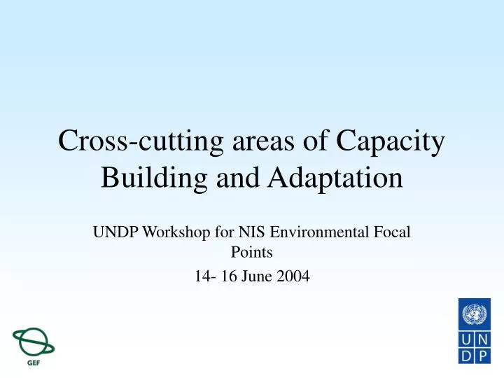 cross cutting areas of capacity building and adaptation