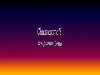 Chromosome Y