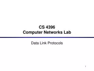 CS 4396 Computer Networks Lab