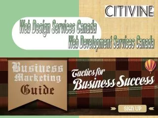 Web Design Services In Montreal