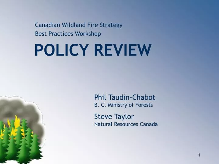 canadian wildland fire strategy best practices workshop policy review